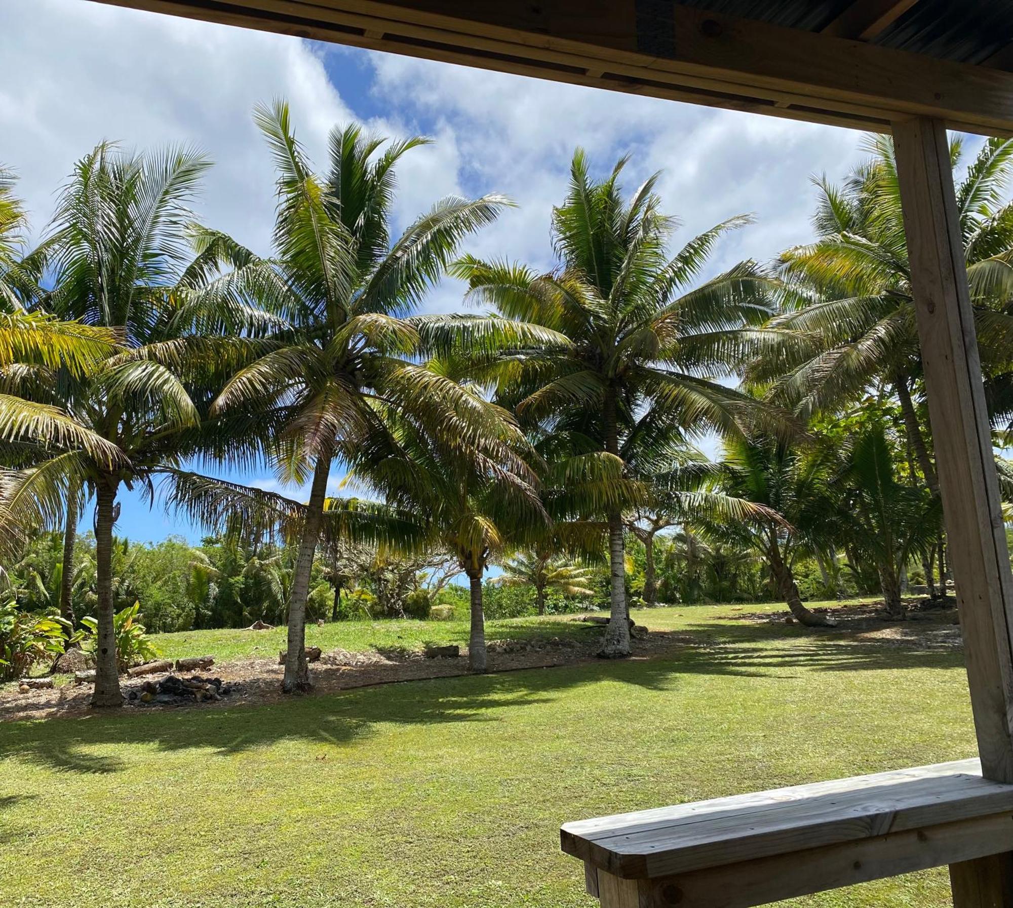 David'S Fale, Alofi, Niue Εξωτερικό φωτογραφία